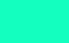 RGB farbe: 13ffbf, png 