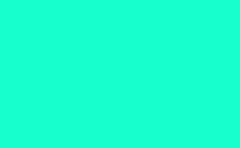 RGB farbe: 16ffcd, png 