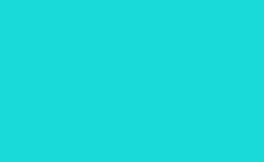 RGB farbe : 1ad8d6, png 