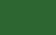 RGB 顏色: 2d6631, png 