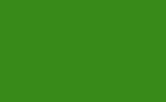 RGB farbe: 388a19, png 