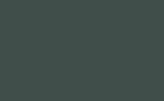 RGB 顏色: 404e4a, png 