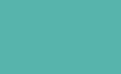 RGB color: 57b4ac, png 