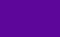 RGB farbe : 5d069a, png 
