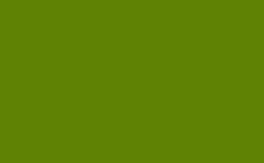 RGB 顏色: 5f8204, png 
