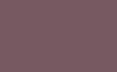 RGB farbe : 765a61, png 