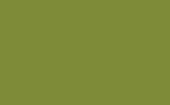 RGB 顏色: 7e8b38, png 