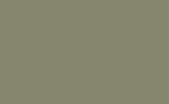 RGB 顏色: 85876f, png 