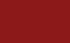 RGB color : 8c1919, png 