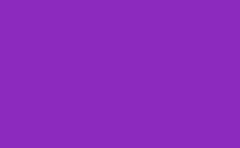 RGB couleur : 8c2abe, png 
