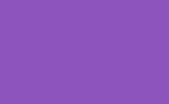 RGB farbe: 8d54be, png 