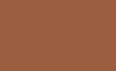RGB color: 985e3f, png 