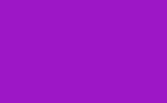 RGB farbe: 9a18c1, png 