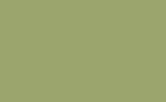 RGB 顏色: 9ba56d, png 