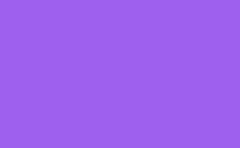 RGB farbe: 9e60ee, png 