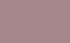 RGB farbe: a4898a, png 